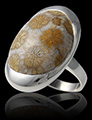 Bague Yula Corail Fossile Sumatra Bague Yula Corail Fossile Sumatra