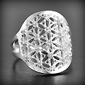 Bague en argent d'une jolie fleur de vie ornée de zirconiums blancs (h:18mm)