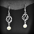 Boucles d'oreilles originales sur crochets d'un coquillage il de sainte Lucie suspendu à une...